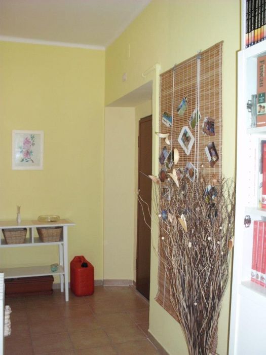 casa demo